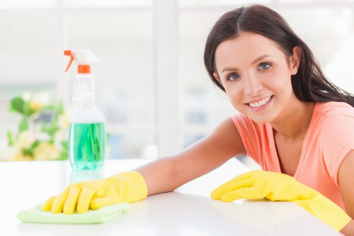 Professional one-off cleaning for a TW10 home interior