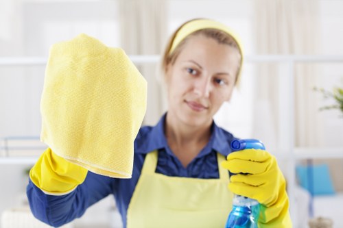 Professional carpet cleaning in a TW10 family home living room