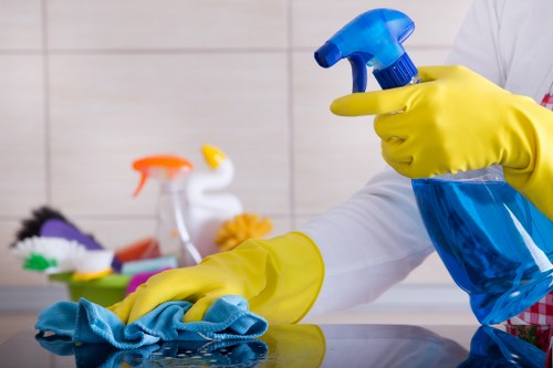 Professional cleaning for TW10 flats and houses with tailored service