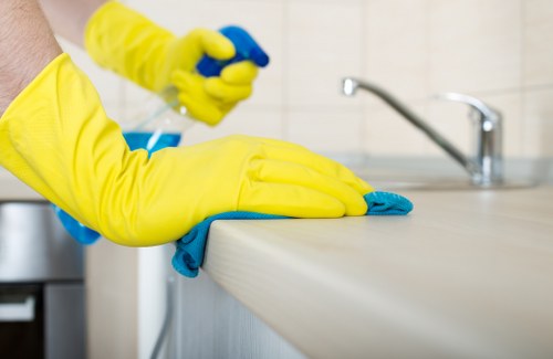 Professional oven cleaning service for a TW10 kitchen appliance