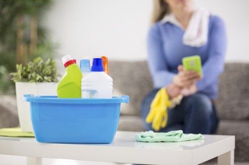 Deep cleaning upholstery in a Richmond area property