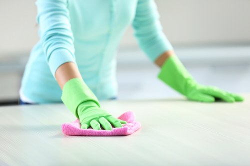 Freshly cleaned carpet fibers showing improved texture and appearance