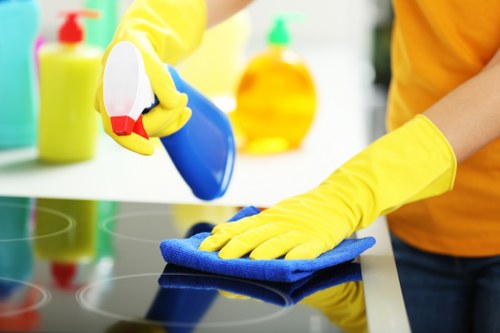 End of tenancy and move-out cleaning for TW10 homes
