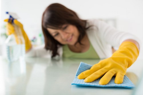 Risk assessment for carpet cleaning workspace