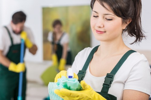 Experienced oven cleaner serving households and businesses in TW10
