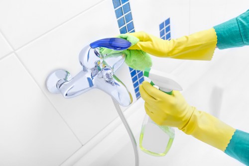 Local carpet cleaner working in a Richmond area property