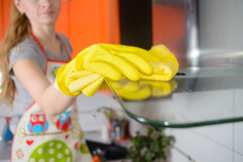Professional domestic cleaner in a TW10 flat