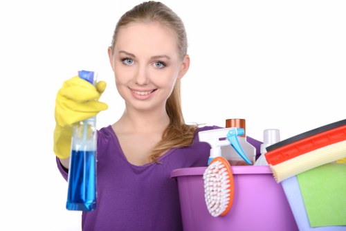 Kitchen and bathroom domestic cleaning in TW10