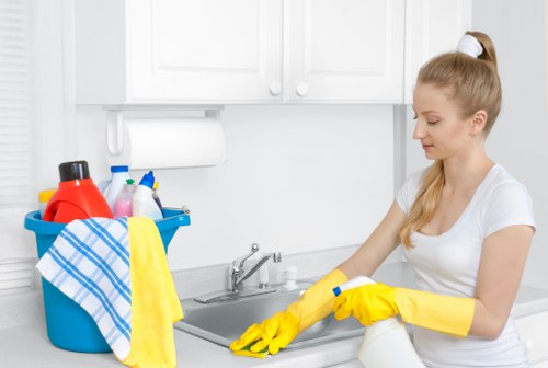 Detailed carpet care process in a TW10 home interior