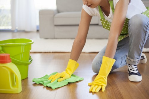 Deep cleaning treatment for stone or vinyl floors in TW10