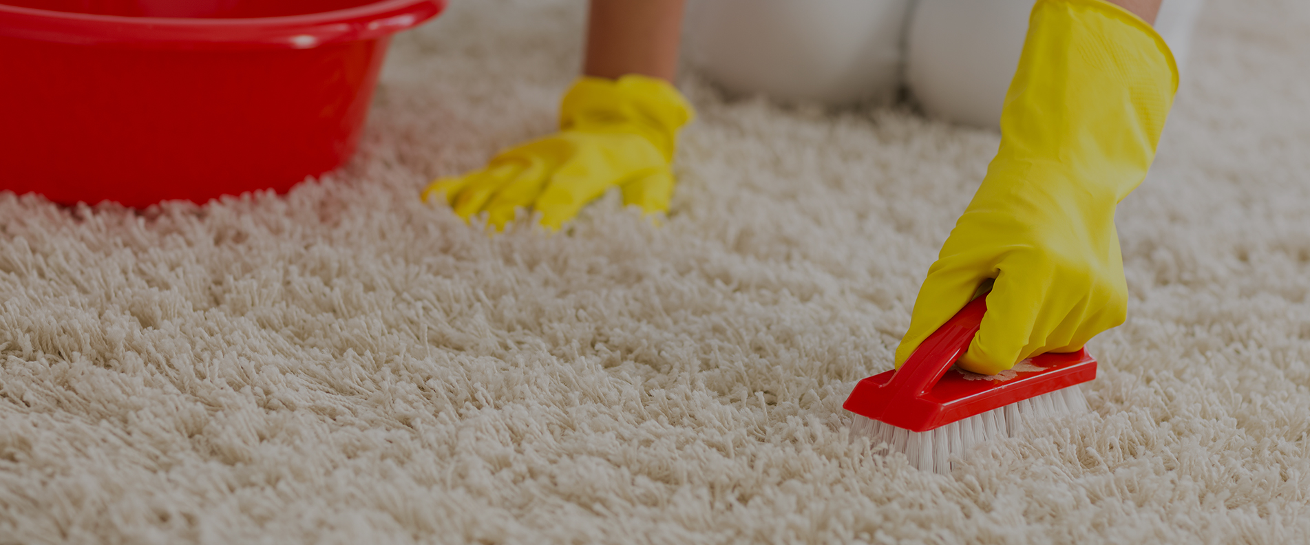 Carpet Cleaning TW10